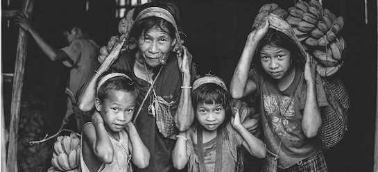 Needs Assessment & Opportunity Analysis