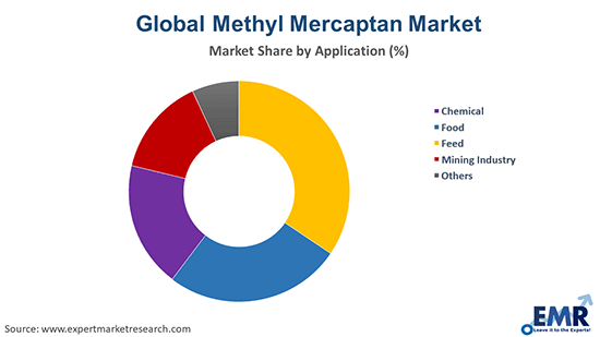 Methyl Mercaptan Market by Application