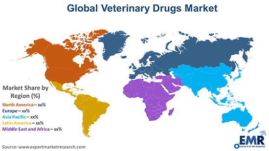 Global Veterinary Drugs Market By Region