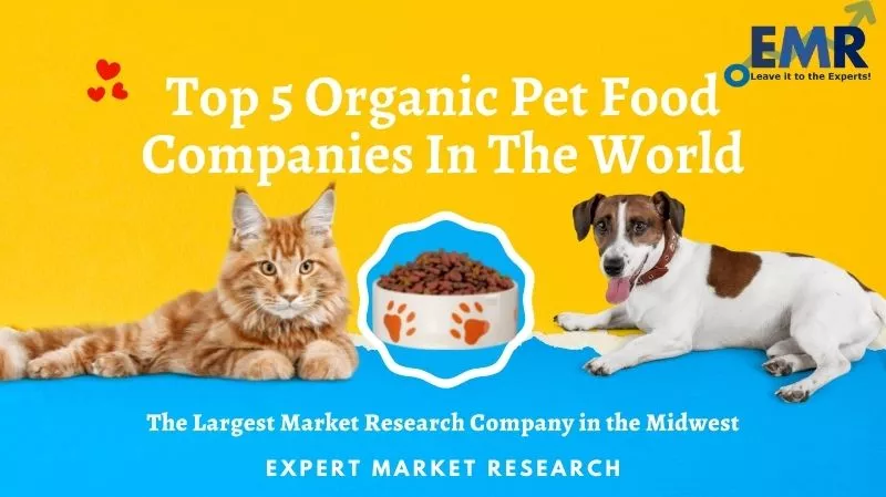 Top 5 Companies in the Global Organic Pet Food Market