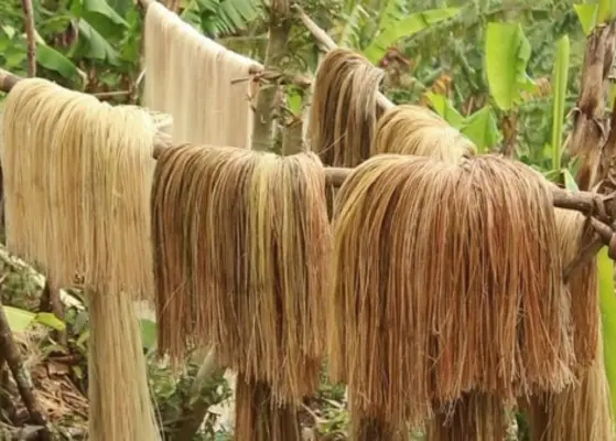 Abaca Fiber Market Supply Demand