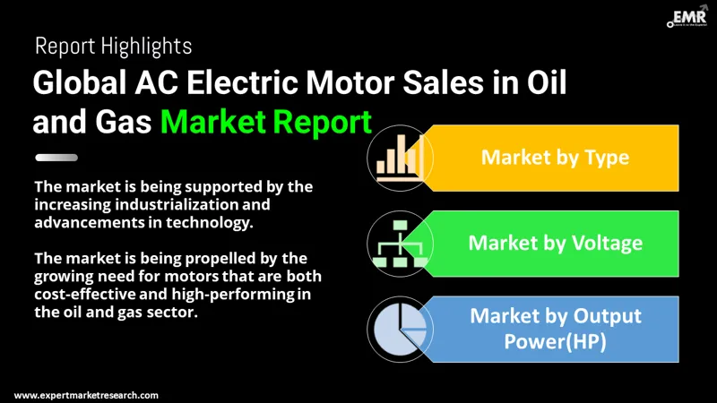 AC Electric Motor Sales in Oil and Gas Market By Segments