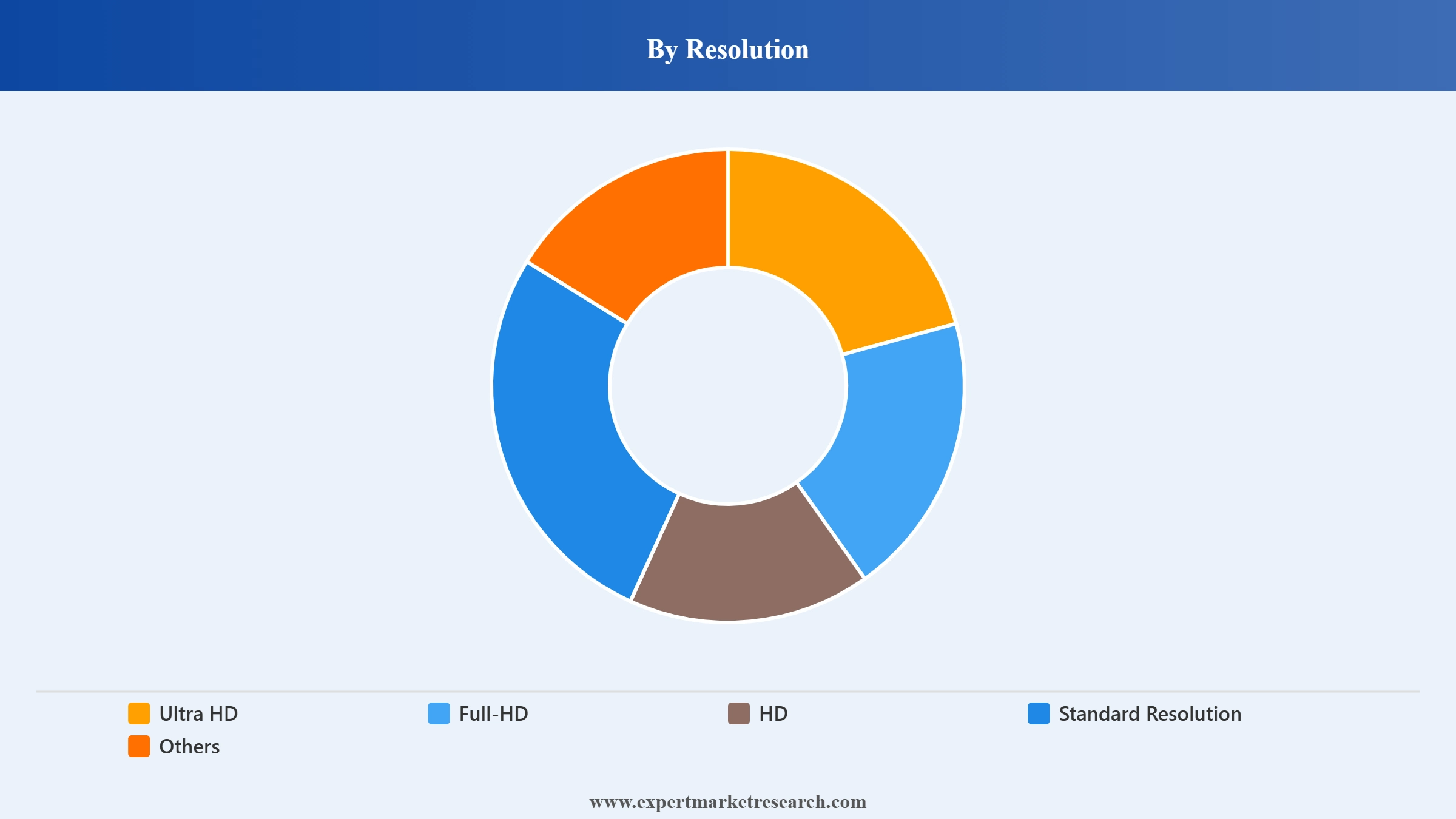 Action Camera Market Segment Resolution