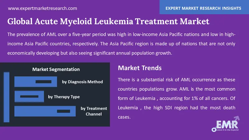 acute myeloid leukemia treatment market by segments