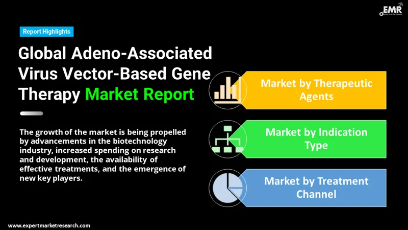 adeno associated virus vector based gene therapy market by segments