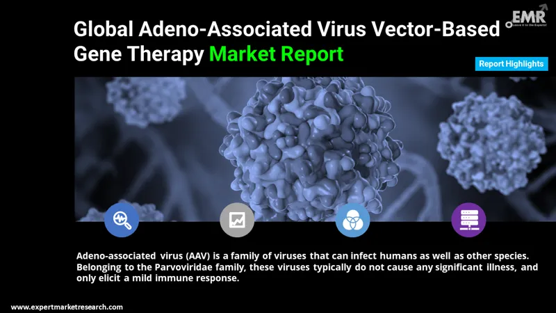 adeno associated virus vector based gene therapy market