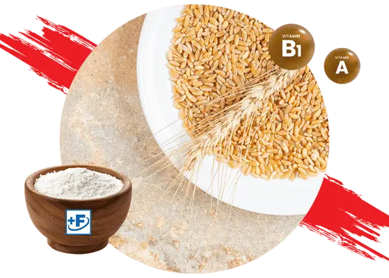Adoption Of Food Fortification Premixes
