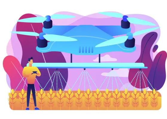 Advanced Innovations In Wheat Farming