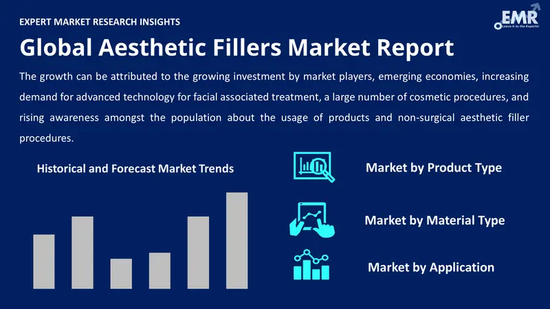 aesthetic fillers market by segments