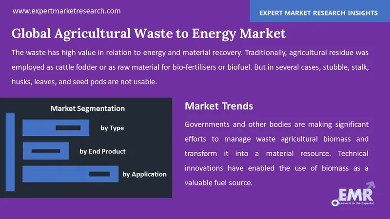 agricultural waste to energy market by segments