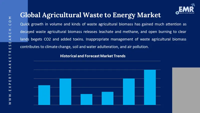 agricultural waste to energy market