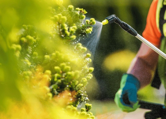 India Fertilizer Supply Chain Innovation