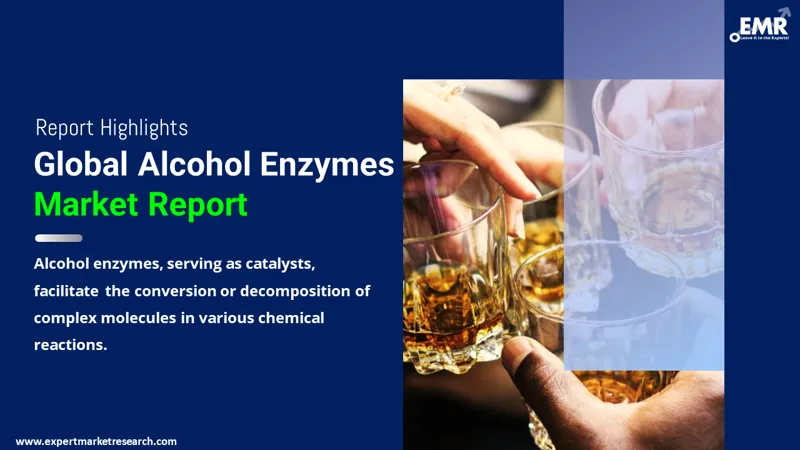 Global Alcohol Enzymes Market