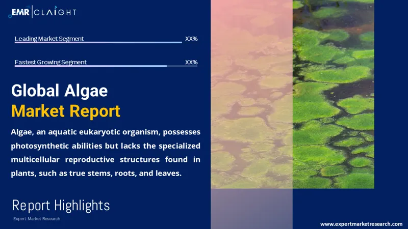 Global Algae Market