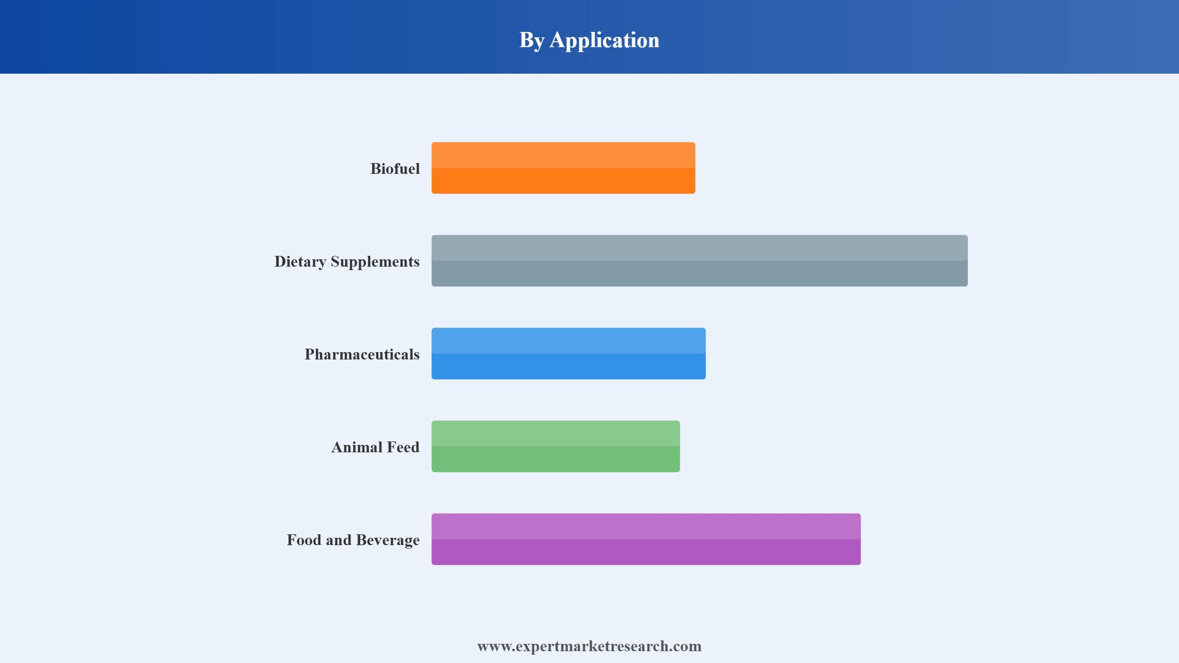Algae Oil Market Segment Application