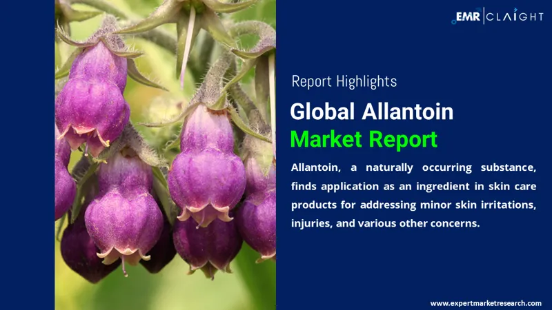 Global Allantoin Market