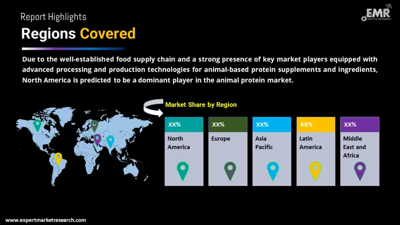 animal protein market by region