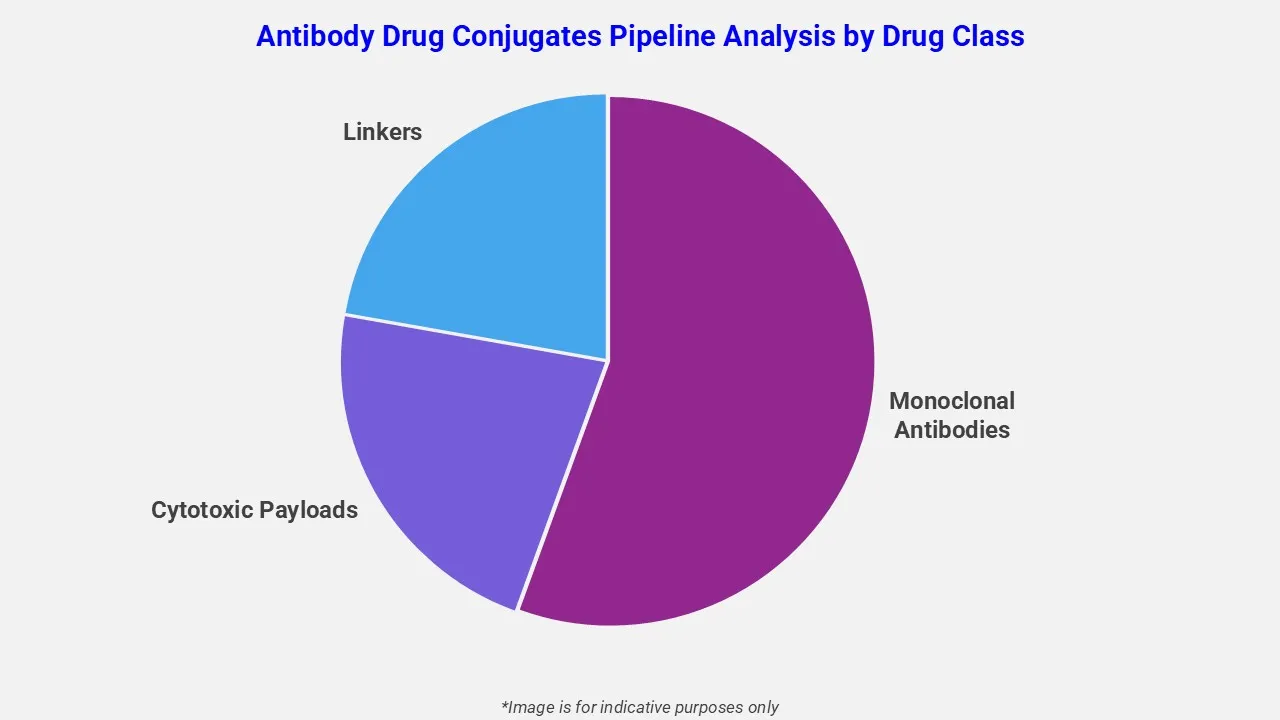 Antikörper-Wirkstoff-Konjugate Pipeline-Analyse nach Wirkstoffklassen