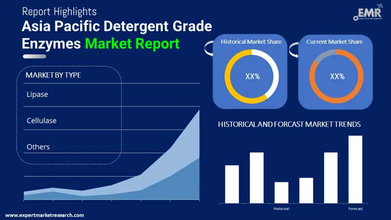 Asia Pacific Detergent Grade Enzymes Market By Segments