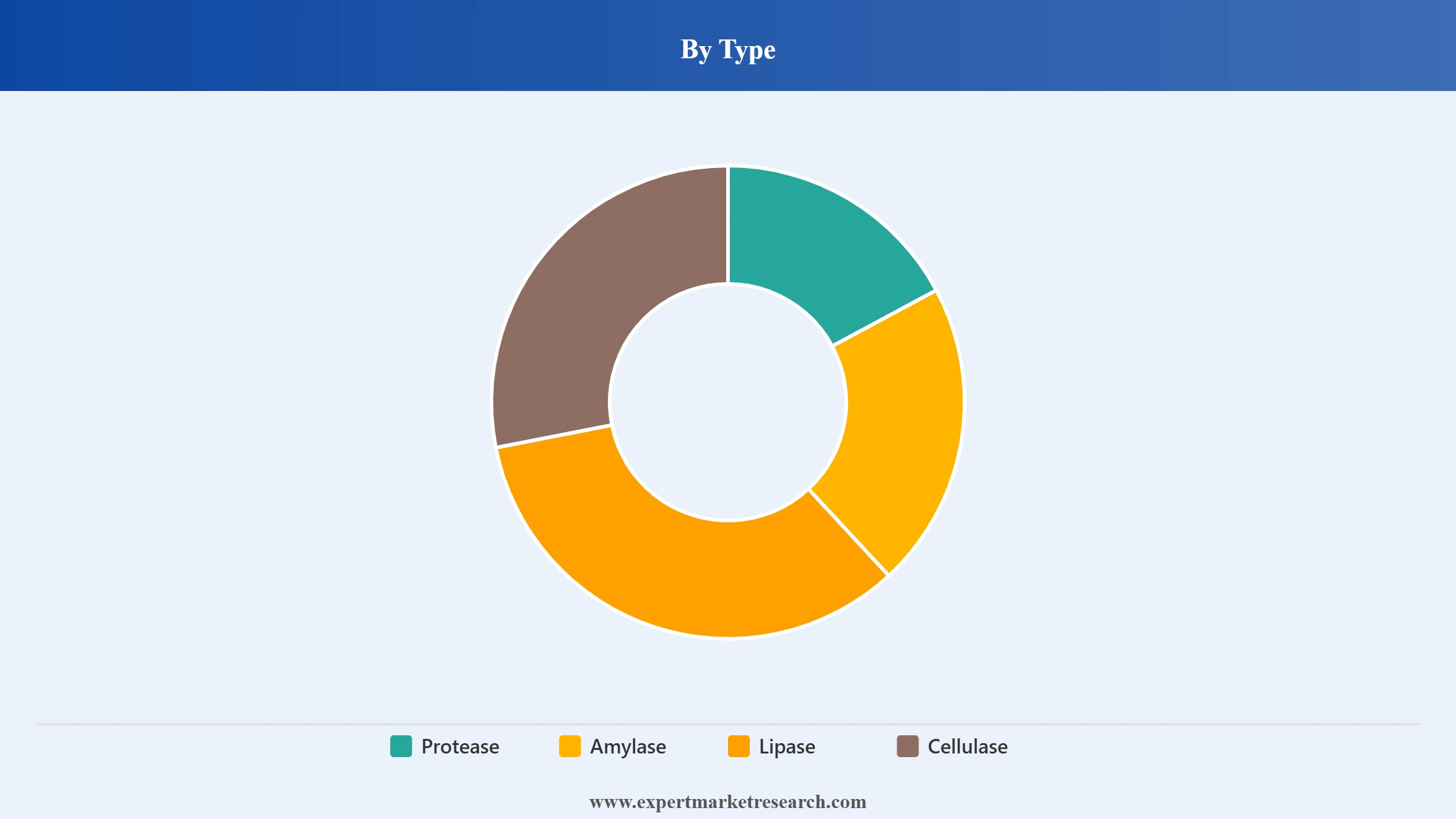 Asia Pacific Detergent Grade Enzymes Market Segment Type