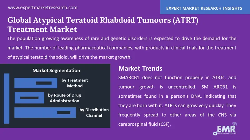 atypical teratoid rhabdoid tumours atrt treatment market by segments