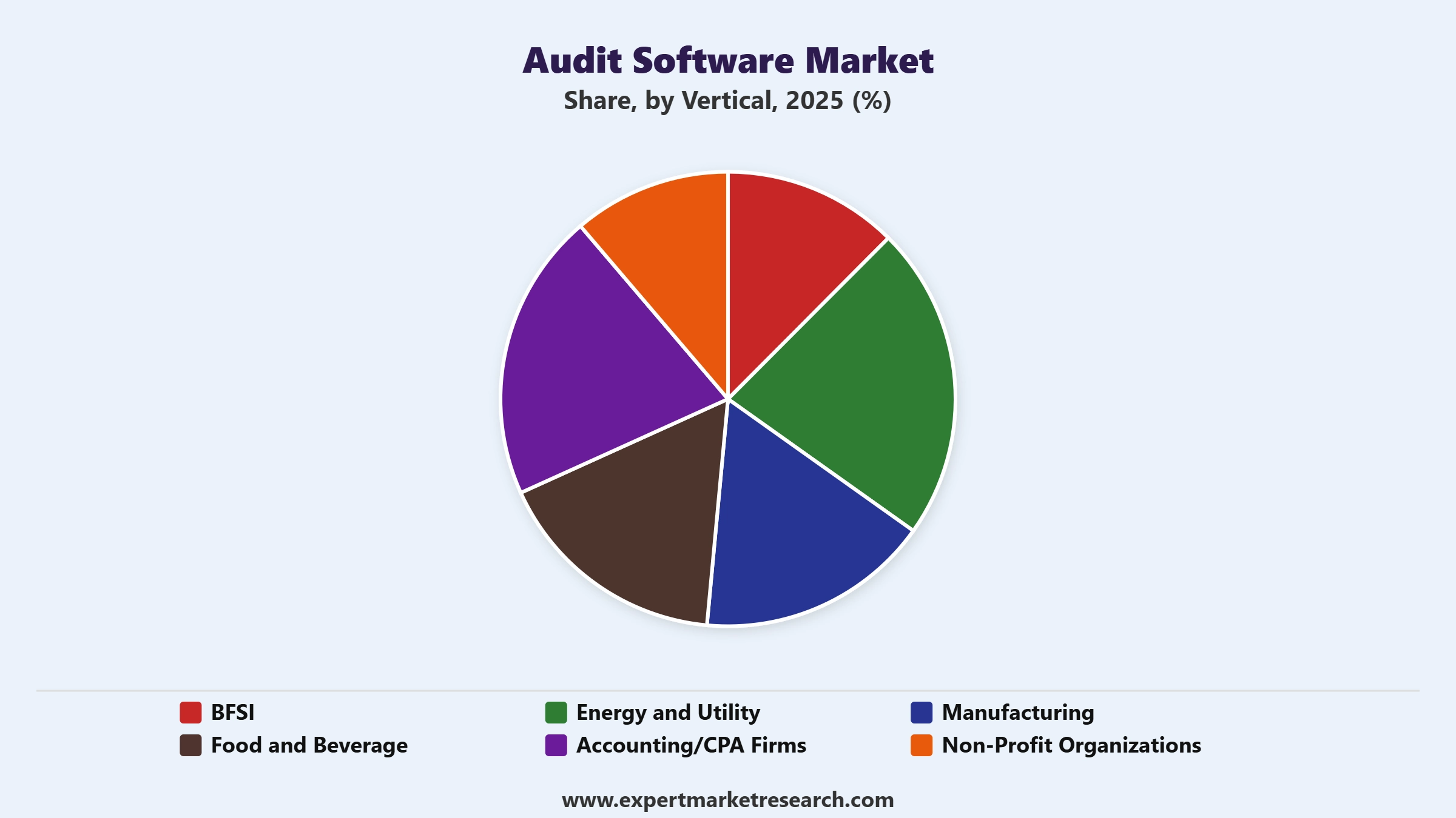 Audit Software Market Segment Vertical
