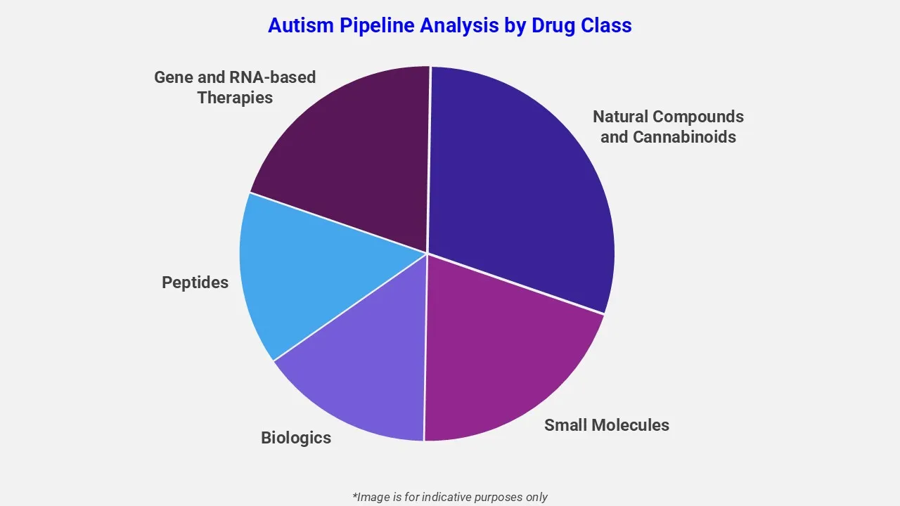 Autism Pipeline Analysis By Drug Class