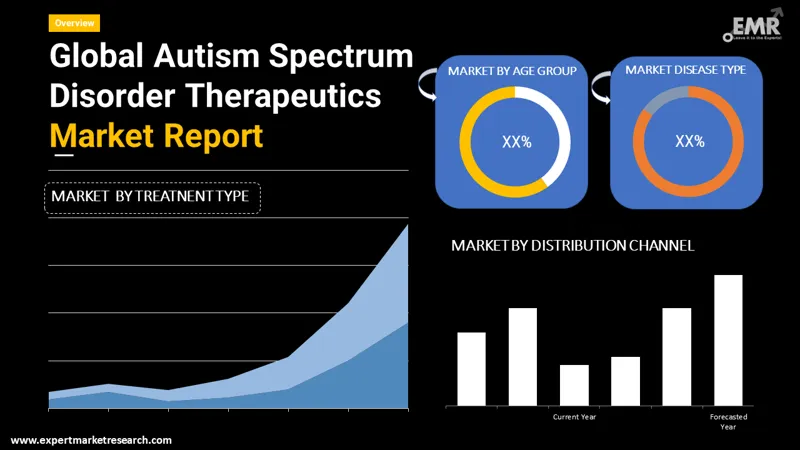 autism-spectrum-disorder-therapeutics-market-by-segmentation