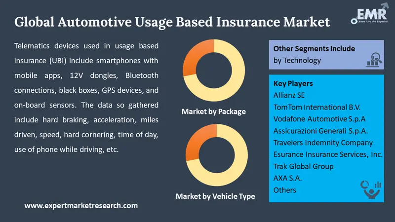 automotive usage based insurance market by segments