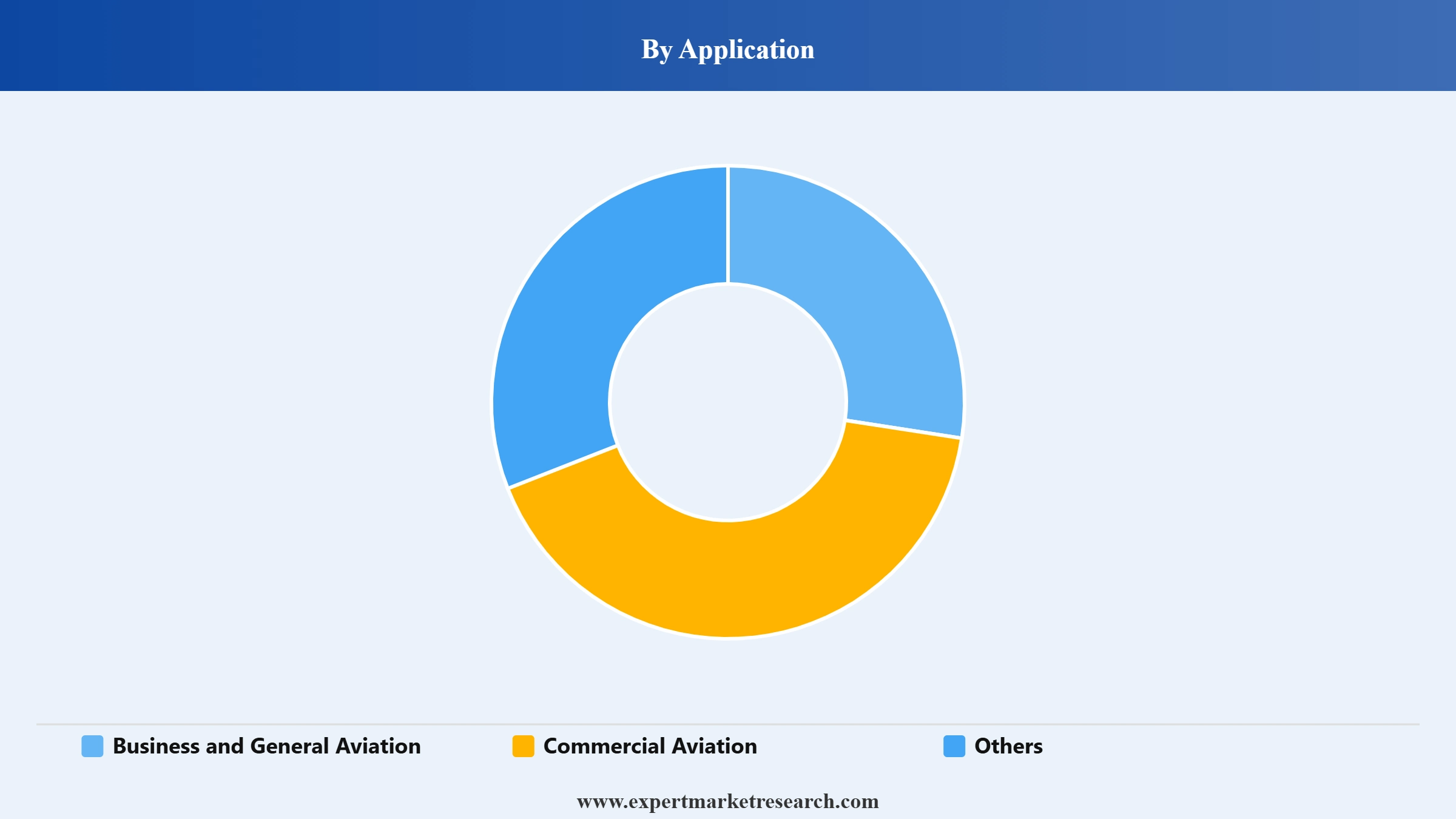 Aviation Insurance Market Segment Application