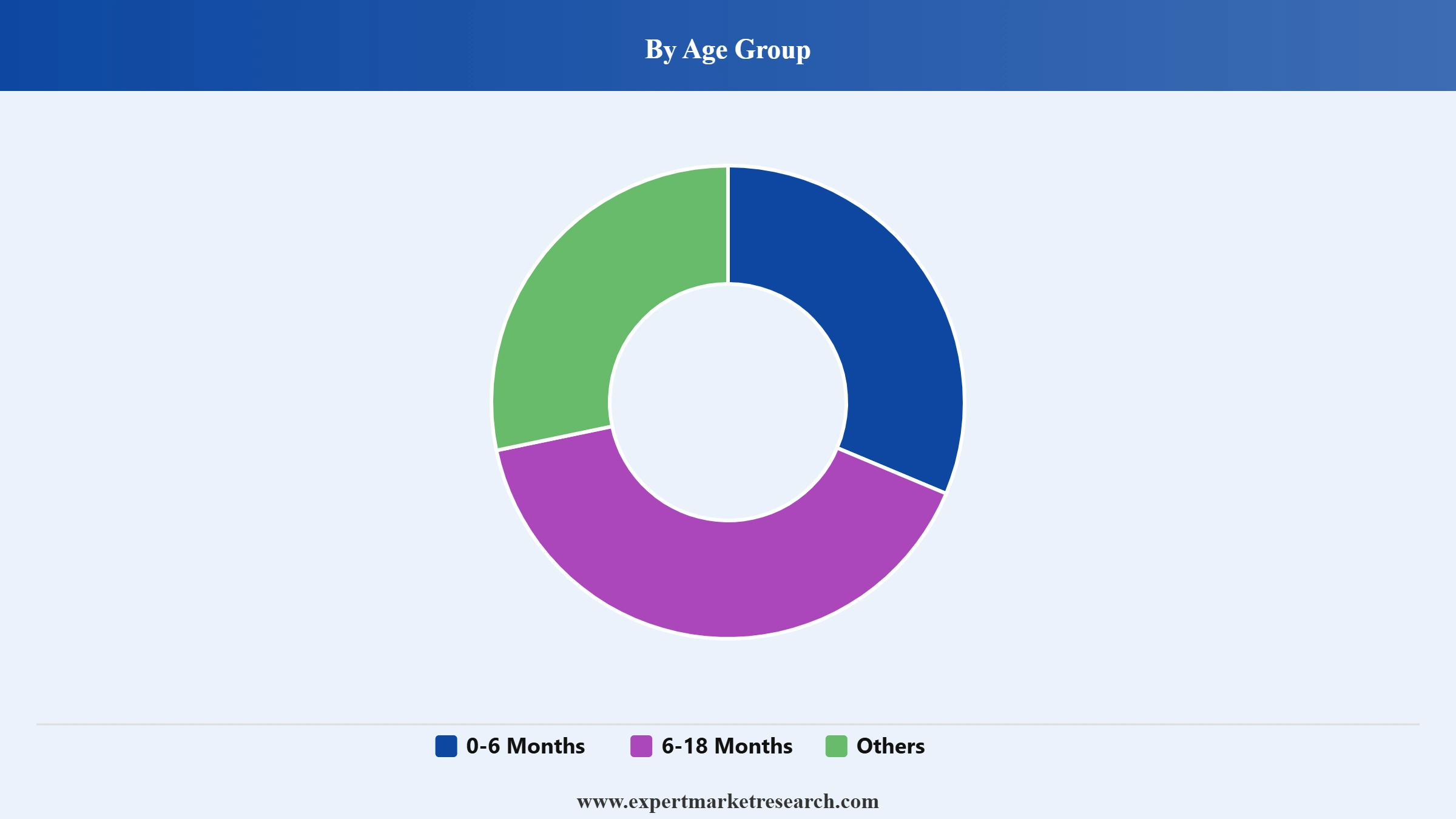Baby Bottle Market Segment Age Group