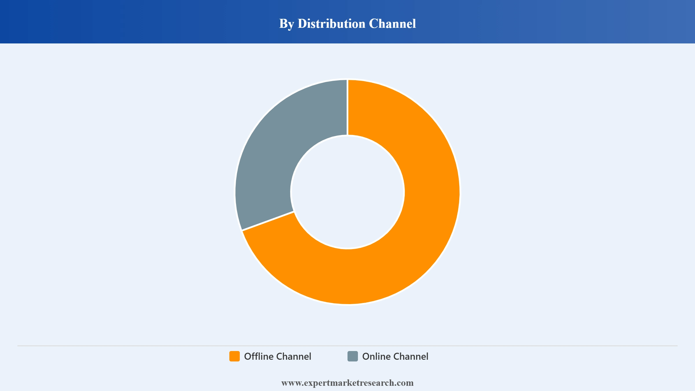 Backpack Market Segment Distribution Channel