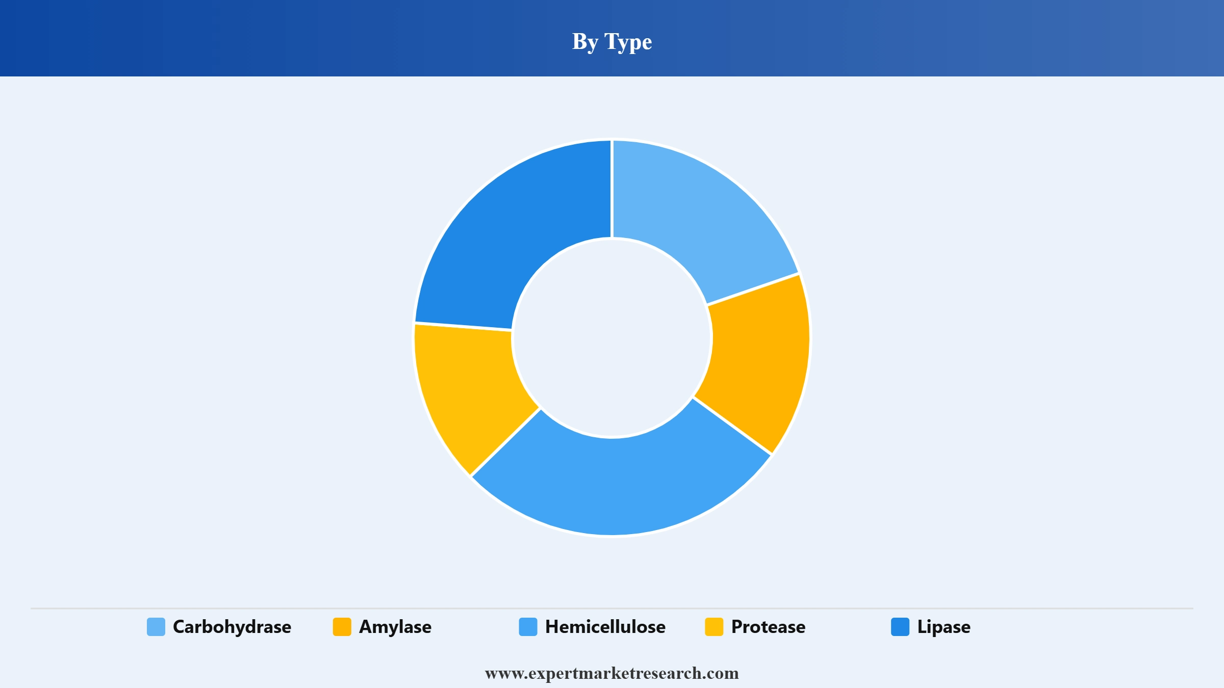 Bakery Enzymes Market Segment Type