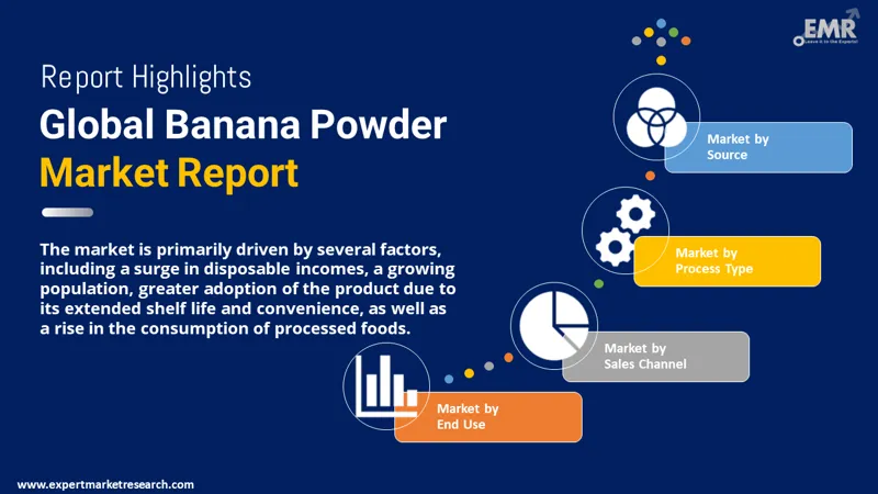 Banana Powder Market by Segments