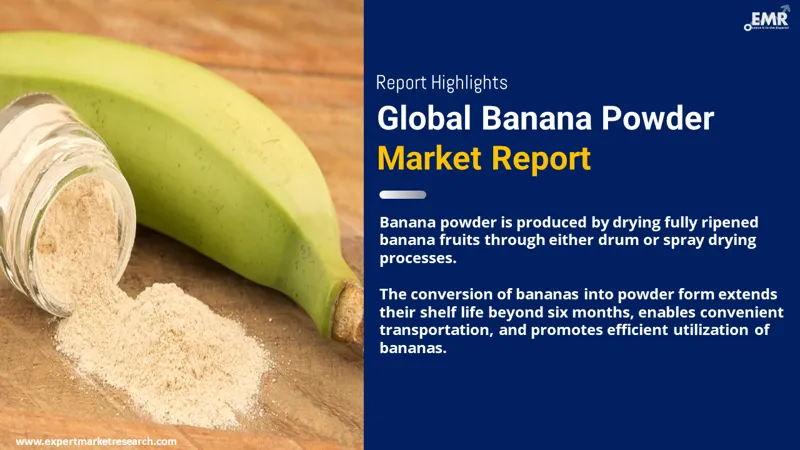 Banana Powder Market 