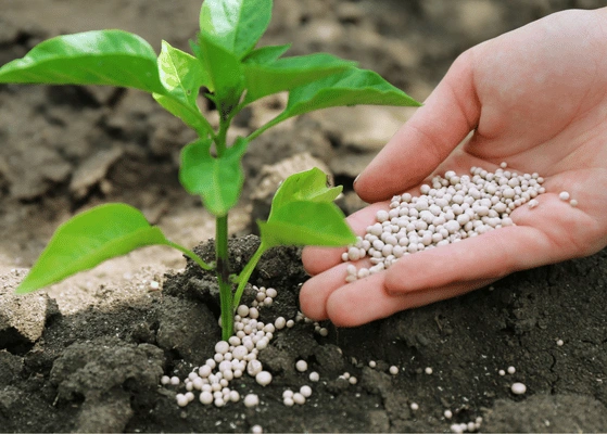 Impact Of Bio And Nano Fertilizers In India