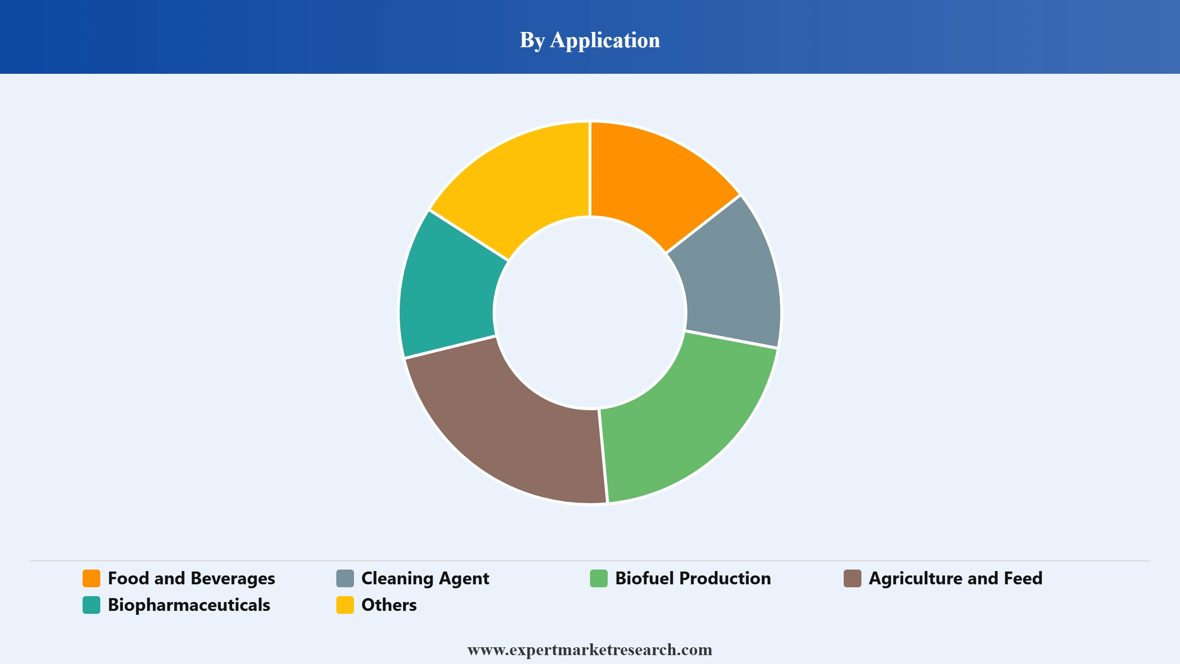 Biocatalysts Market Segment Application