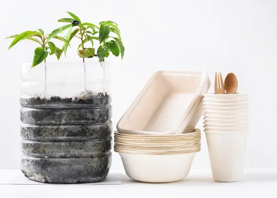 Biodegradable Plastics In Cup Manufacturing