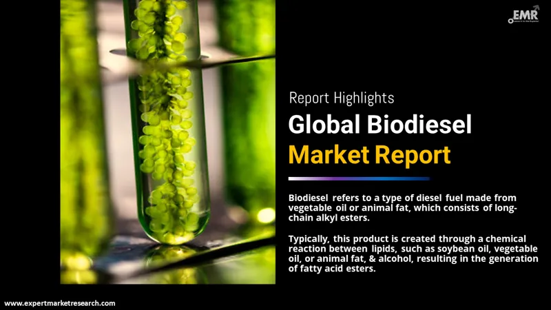 Biodiesel Market