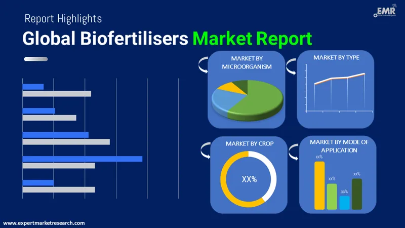 Biofertilisers Market By Segments