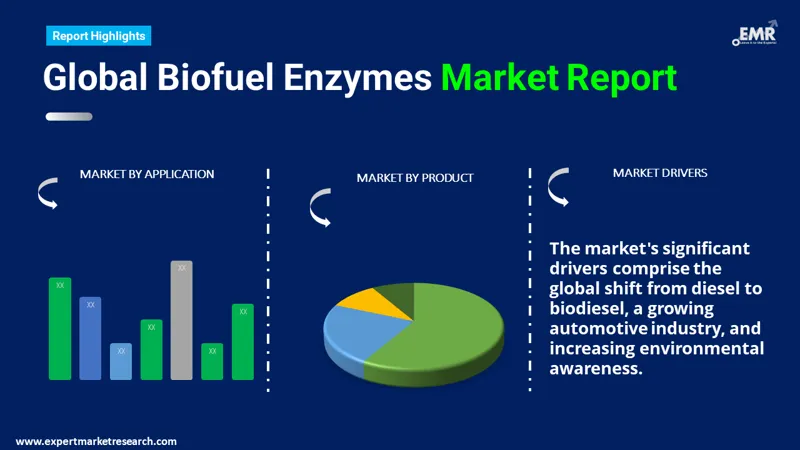 Biofuel Enzymes Market By Segments