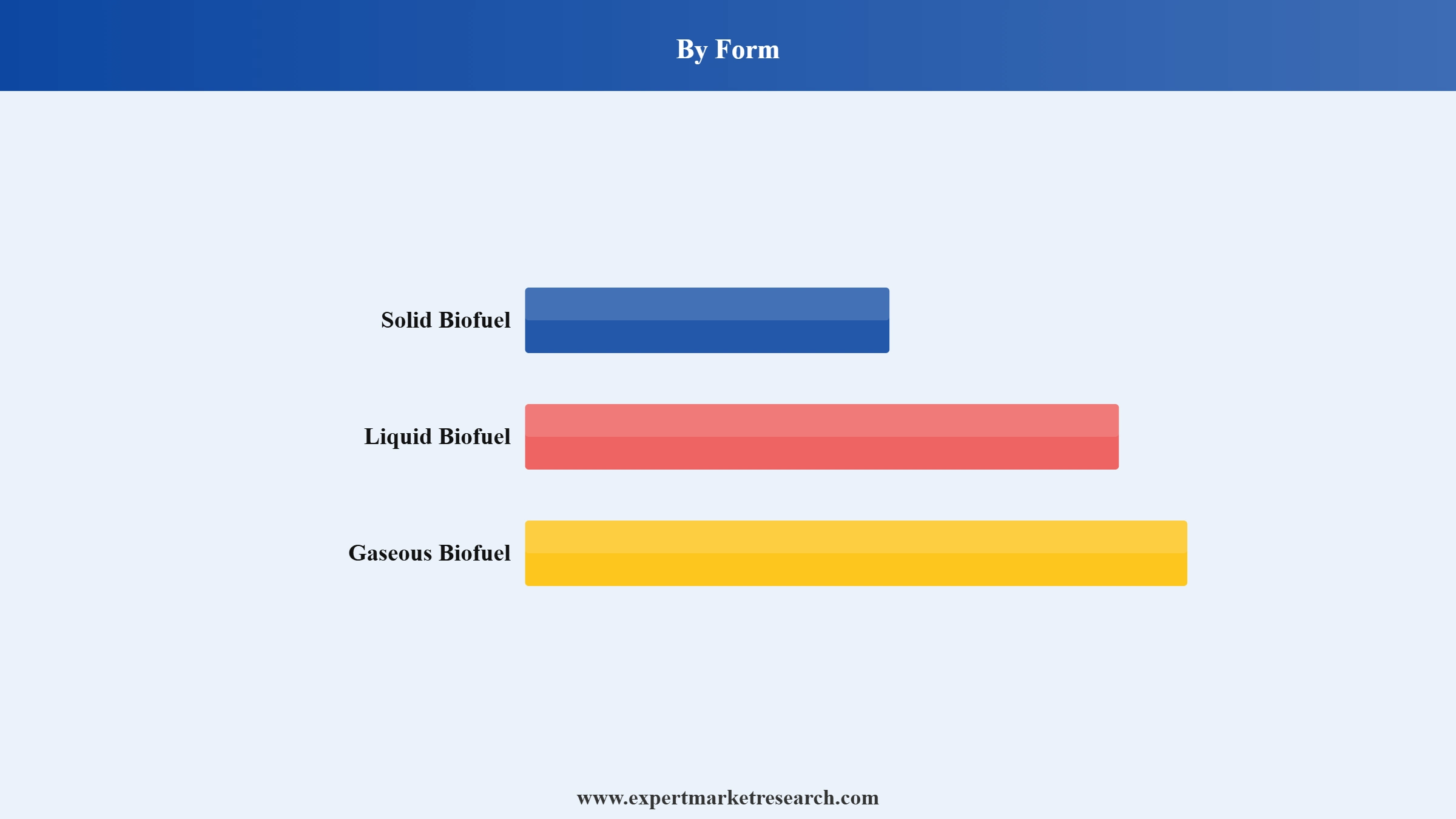 Biofuels Market Segment Form