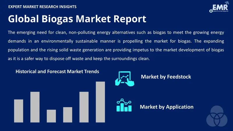 biogas market by segments