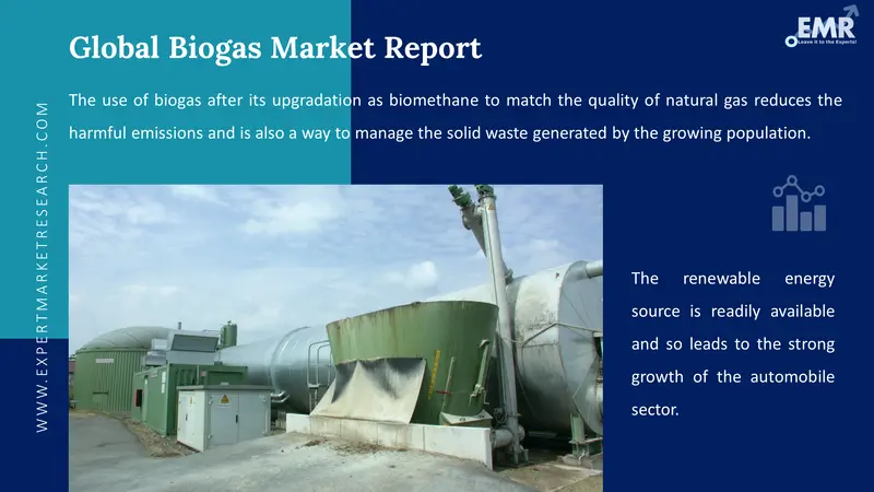 biogas market