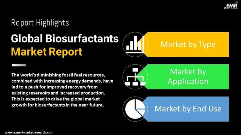 biosurfactants market by segments