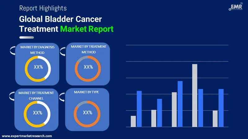 bladder cancer treatment market by segments