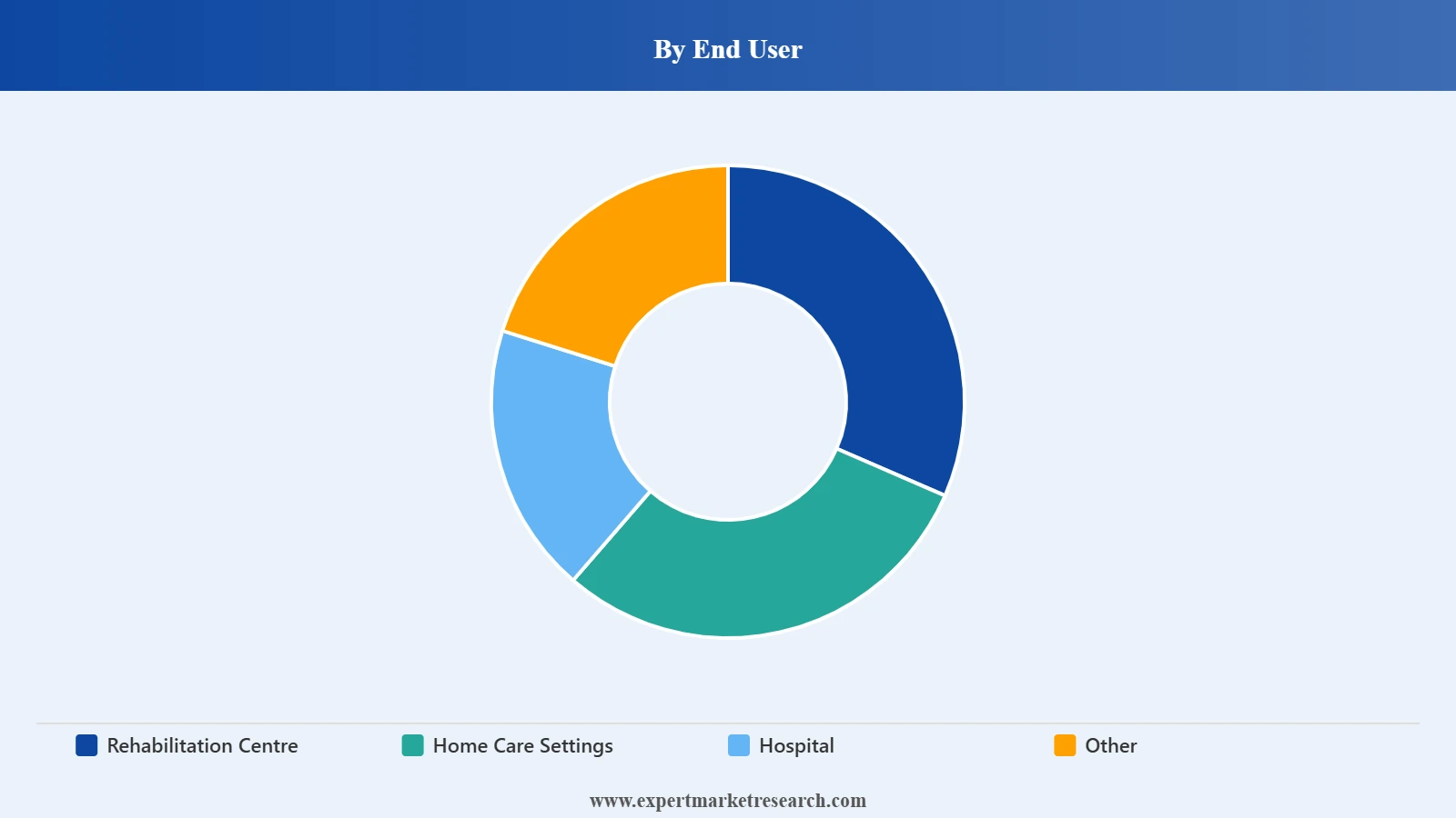 Brain Computer Interface Market Segment End User