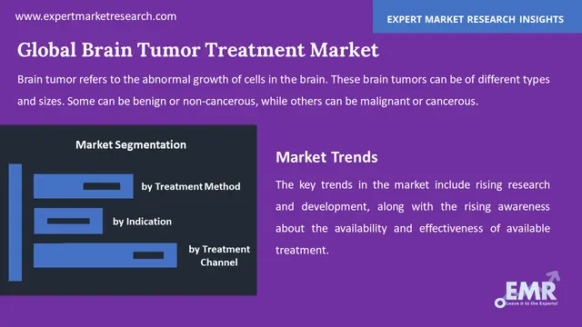 brain tumor treatment market by segments