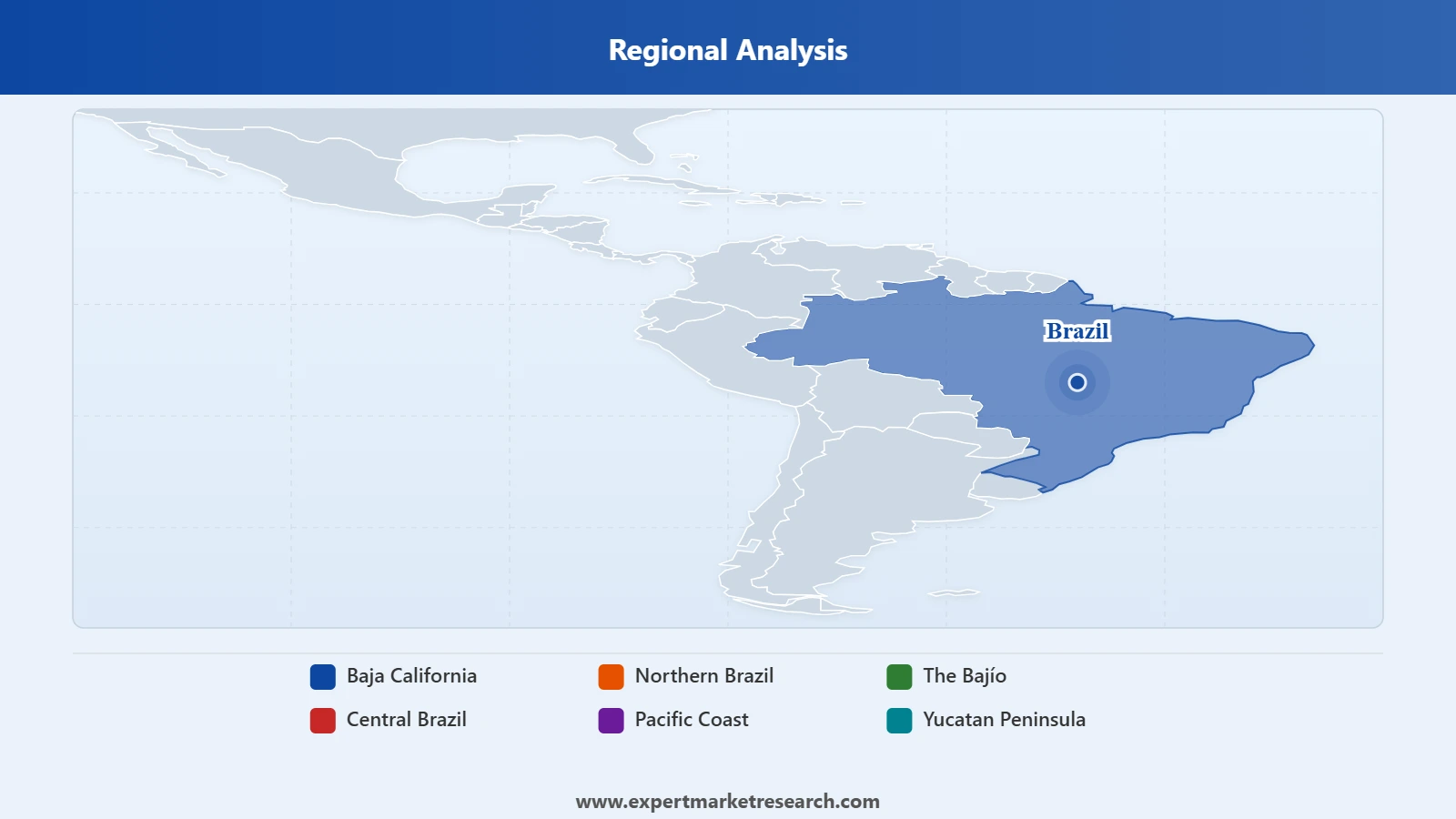 Brazil Clinical Microbiology Market Regional Analysis