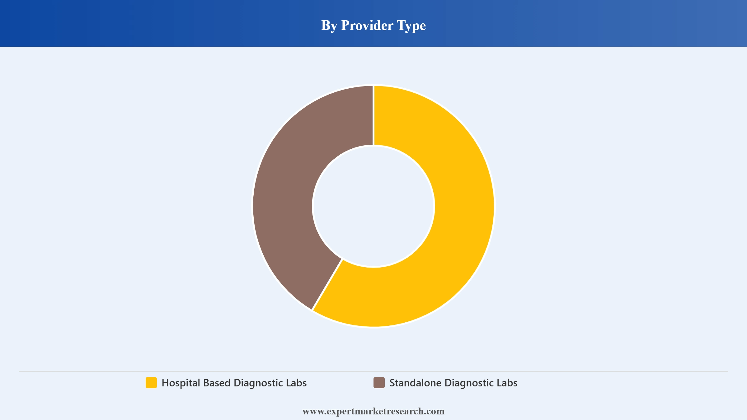 Brazil Diagnostic Labs Market Segment Provider Type